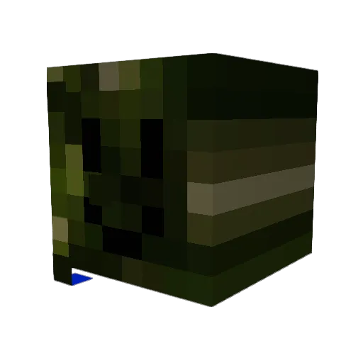 Gustav_Vasa1496 Minecraft avatar head, 3D render