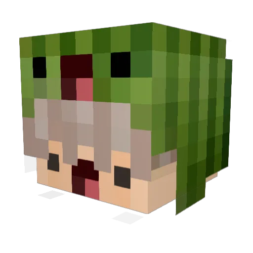 Gustaviin Minecraft avatar head, 3D render