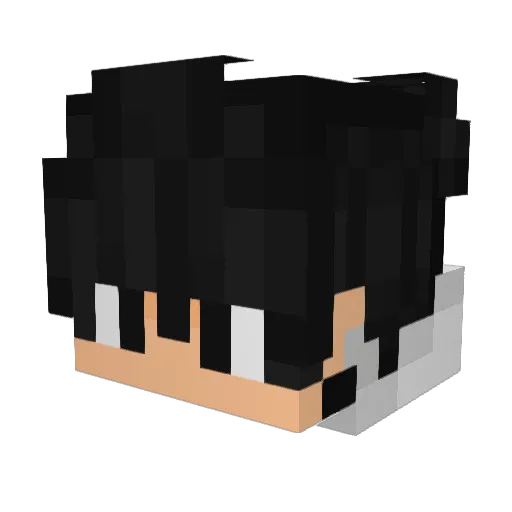 Gustavo0309 Minecraft avatar head, 3D render