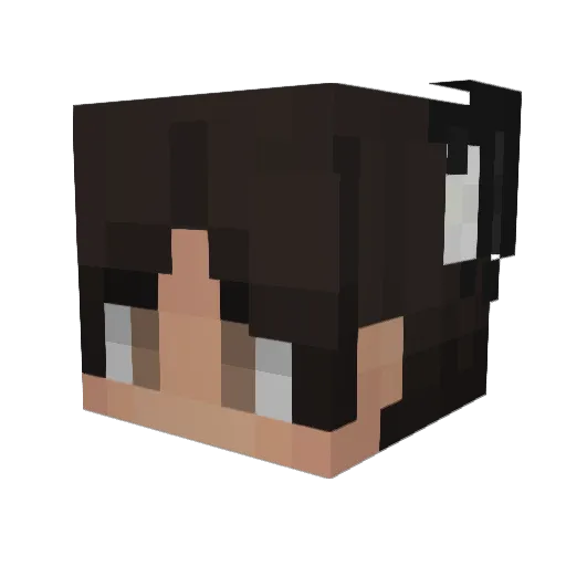 Gustavo756 Minecraft avatar head, 3D render