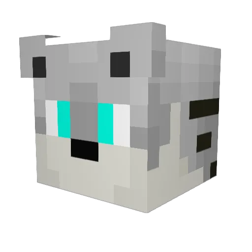 Gustavogamer140 Minecraft avatar head, 3D render