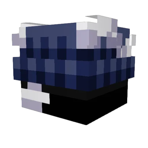 Gustel0 Minecraft avatar head, 3D render