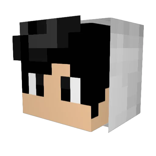 GustoVisk Minecraft avatar head, 3D render