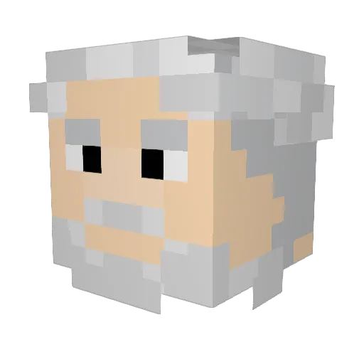 Gusttav Minecraft avatar head, 3D render
