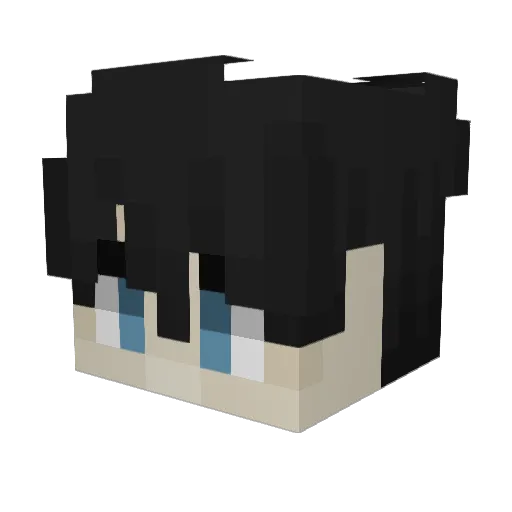 Gusty1125 Minecraft avatar head, 3D render