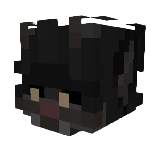 Gut_Feelings Minecraft avatar head, 3D render