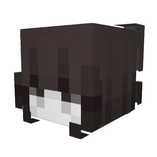 Guteekk Minecraft avatar head, 3D render