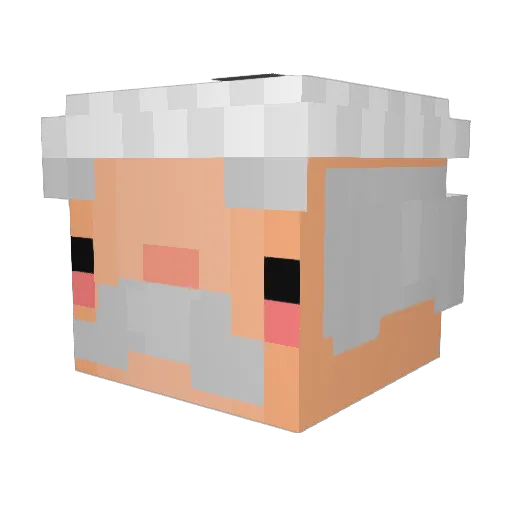 Guundula_1 Minecraft avatar head, 3D render