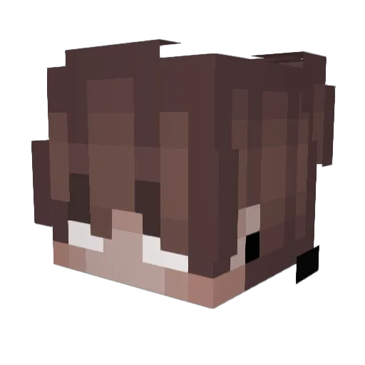 Guuoliver Minecraft avatar head, 3D render