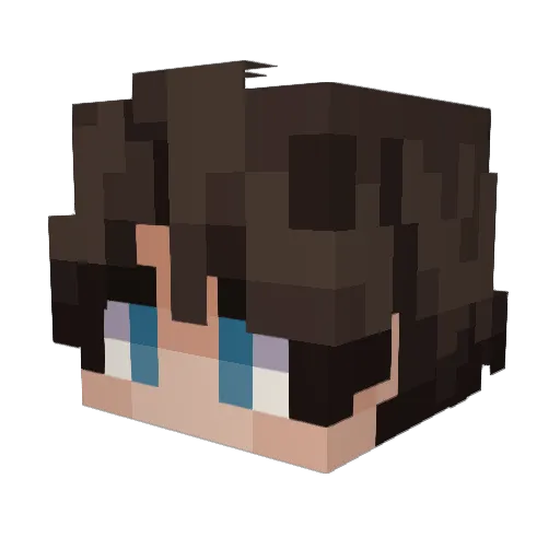 Minecraft-Avatar von GuusL: Kopf als 3D-Render