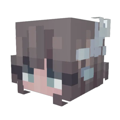 GuusjeT Minecraft avatar head, 3D render