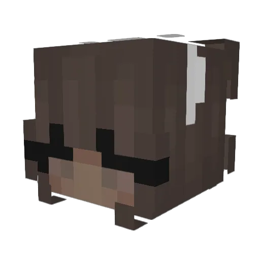 Guuuntas Minecraft avatar head, 3D render