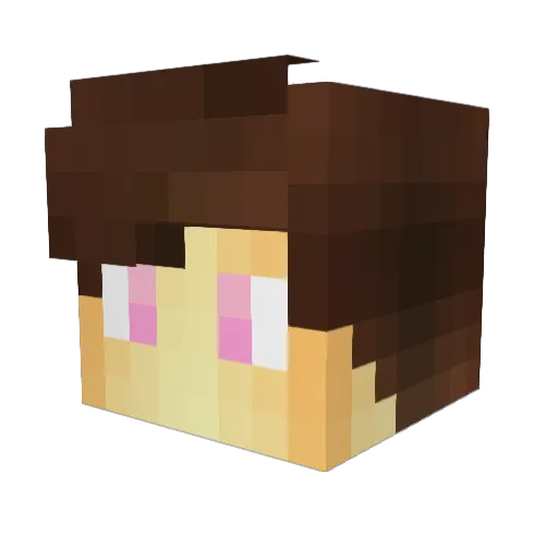 Guvercinn Minecraft avatar head, 3D render