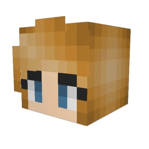 GuyFox146 Minecraft avatar head, 3D render
