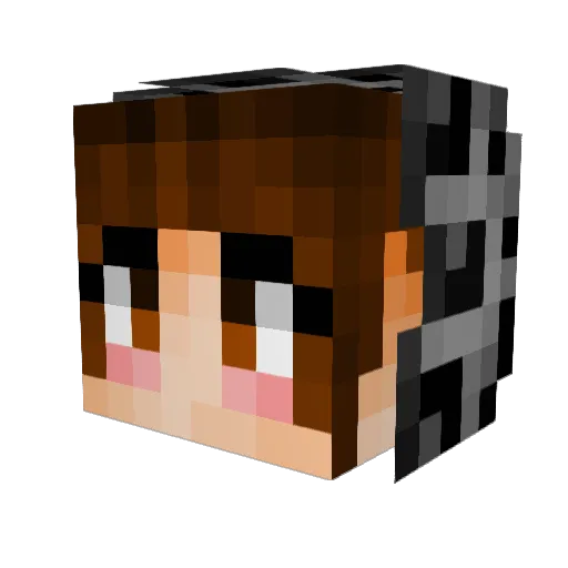 Guyouai Minecraft avatar head, 3D render