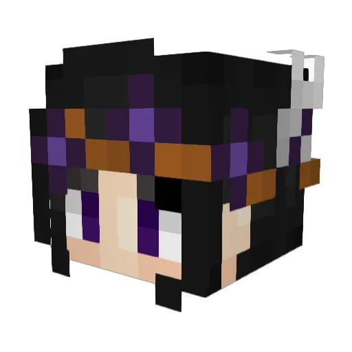 Guyro1920 Minecraft avatar head, 3D render