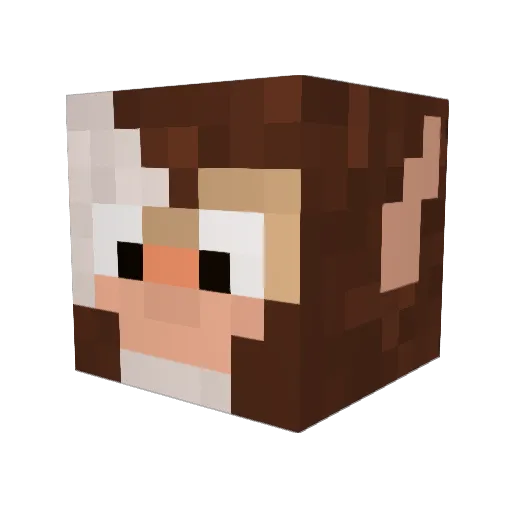 Guyzmoo Minecraft avatar head, 3D render