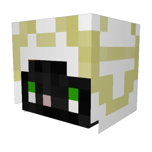 Guyzrr Minecraft avatar head, 3D render