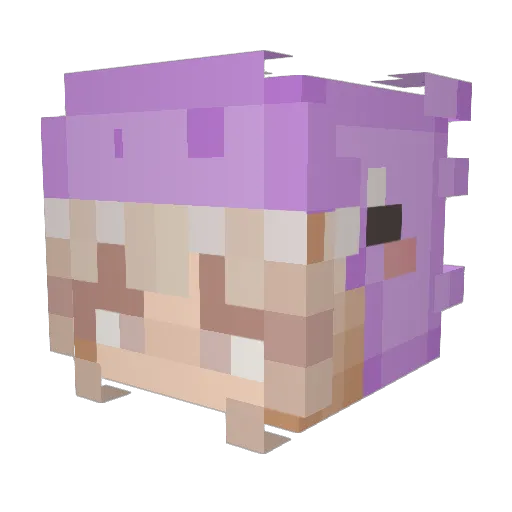 GuzikOliwia Minecraft avatar head, 3D render