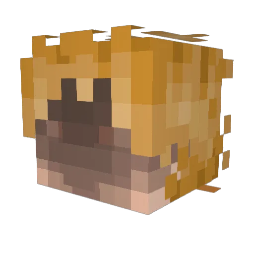 Gvuz Minecraft avatar head, 3D render