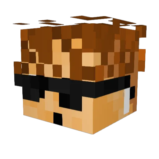 GwbryIsGood Minecraft avatar head, 3D render