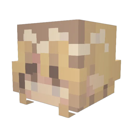 Gweithir Minecraft avatar head, 3D render