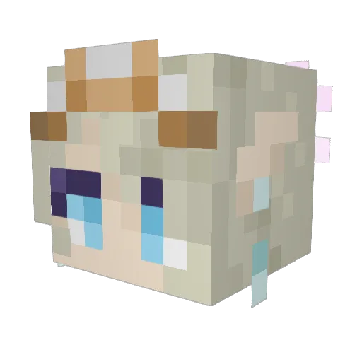 GwenMeridian Minecraft avatar head, 3D render