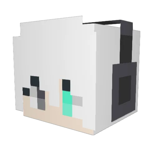 Gwhite72 Minecraft avatar head, 3D render