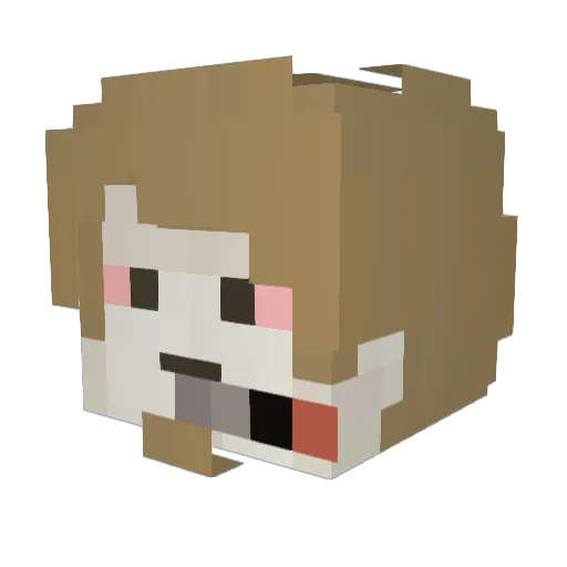 Gwilherme Minecraft avatar head, 3D render