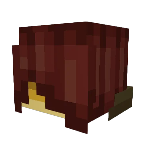 Gwimbly_Enjoyer Minecraft avatar head, 3D render