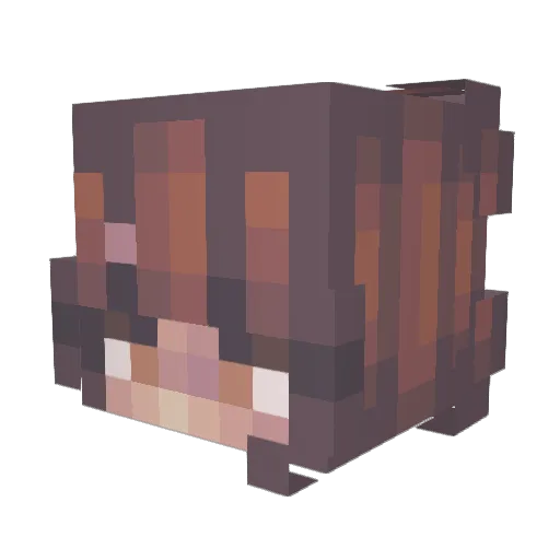 Gwinnie_Gaming Minecraft avatar head, 3D render