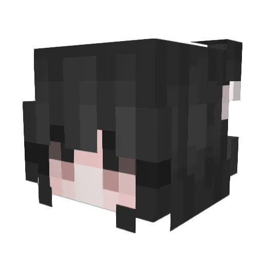 Gwiyeol Minecraft avatar head, 3D render