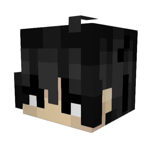 Gwrecker04 Minecraft avatar head, 3D render