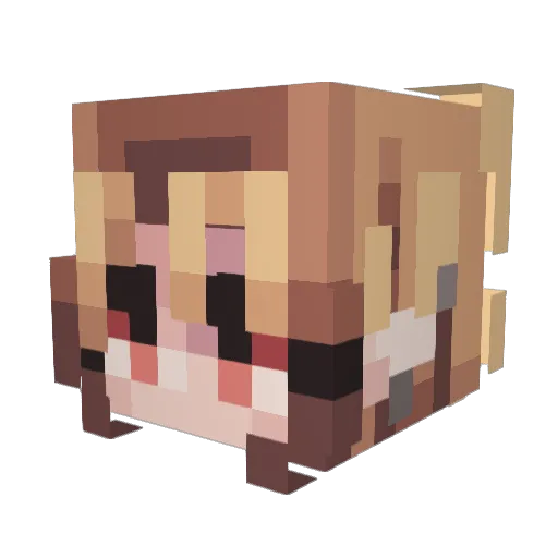 Gxbrielxox Minecraft avatar head, 3D render