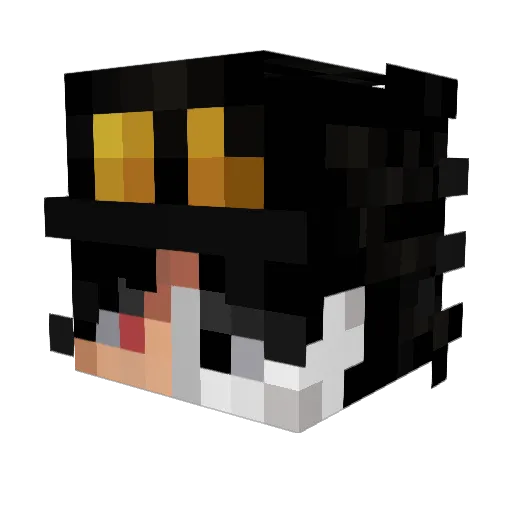 Gy4o_real Minecraft avatar head, 3D render