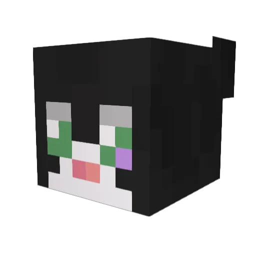 Gyanesse Minecraft avatar head, 3D render