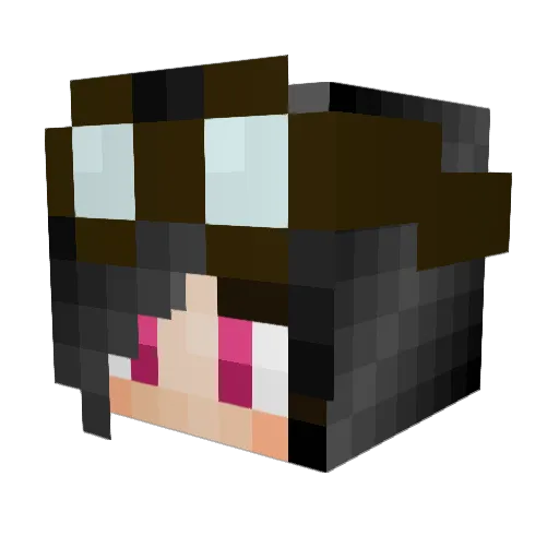 GymKass Minecraft avatar head, 3D render