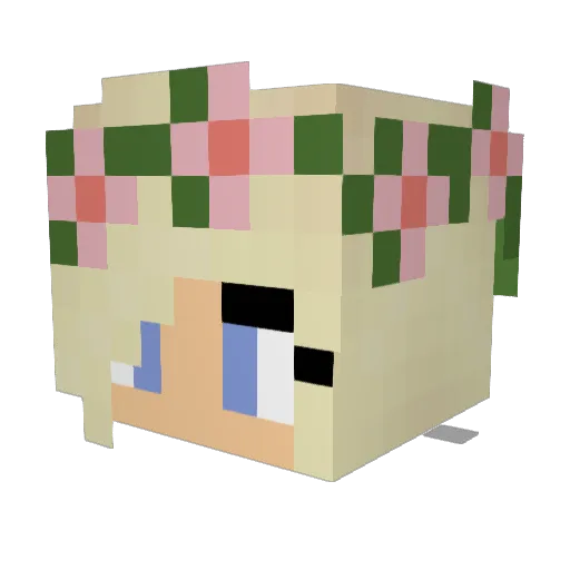 Gymbars123 Minecraft avatar head, 3D render