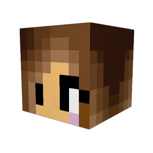 Gymcat369 Minecraft avatar head, 3D render