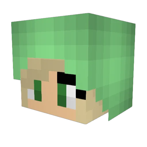 Gymnast717 Minecraft avatar head, 3D render