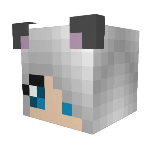 GymnastMeg10 Minecraft avatar head, 3D render