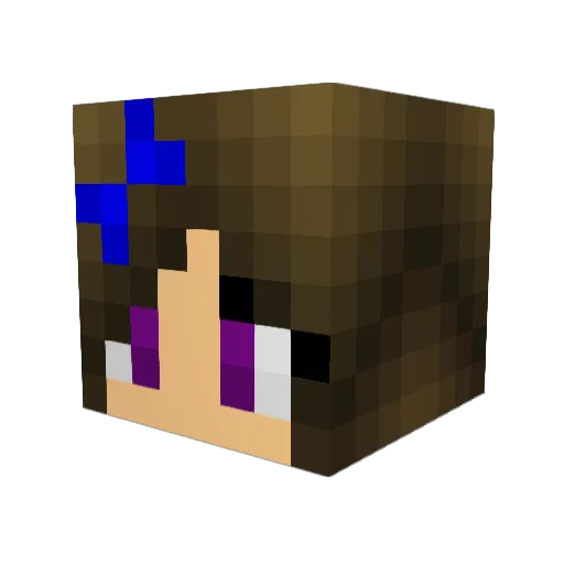 Gymstarflyer Minecraft avatar head, 3D render