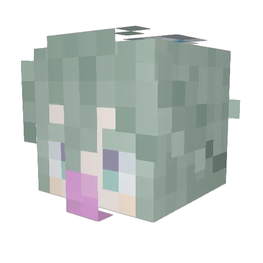 Gyoza1122 Minecraft avatar head, 3D render