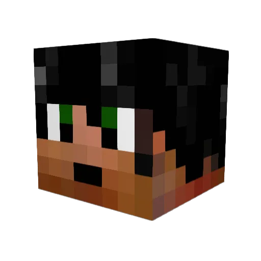 Gyozomgarg Minecraft avatar head, 3D render