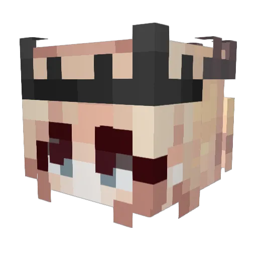 Gypsy_Soul27 Minecraft avatar head, 3D render