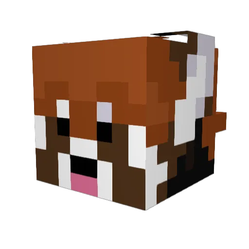 Gyrron Minecraft avatar head, 3D render