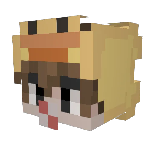 Gyu001 Minecraft avatar head, 3D render