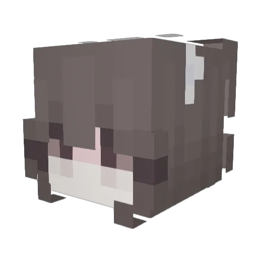 Gywwnn Minecraft avatar head, 3D render