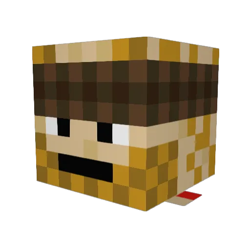 Gzac Minecraft avatar head, 3D render