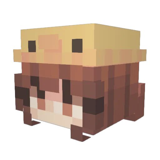 Gzesus_Bless Minecraft avatar head, 3D render